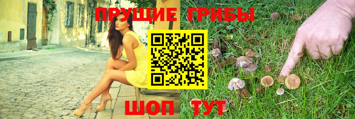 Псилоцибиновые грибы прущие грибы Феодосия