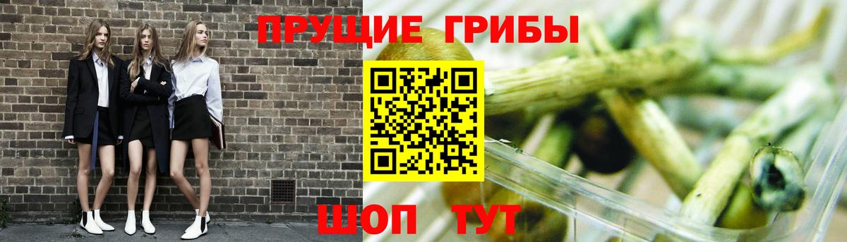 Феодосия  купить закладку  Вход с VPN  Галлюциногенные грибы GOLDEN TEACHER 